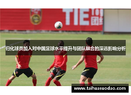 归化球员加入对中国足球水平提升与团队融合的深远影响分析 归化球员加入对中国足球水平提升与团队融合的深远影响分析